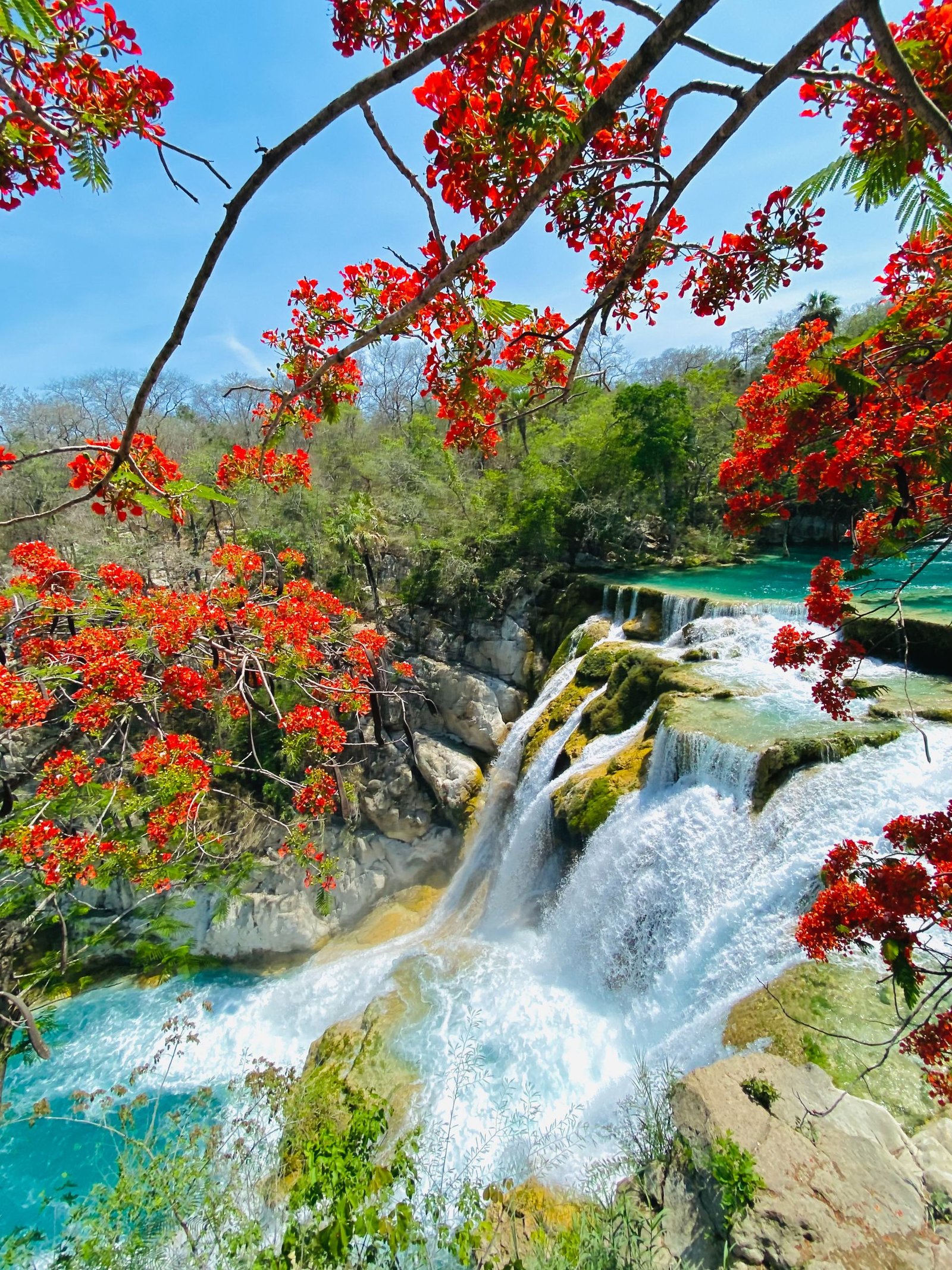 A breathtaking view of a waterfall surrounded by bright red flowers and turquoise waters.