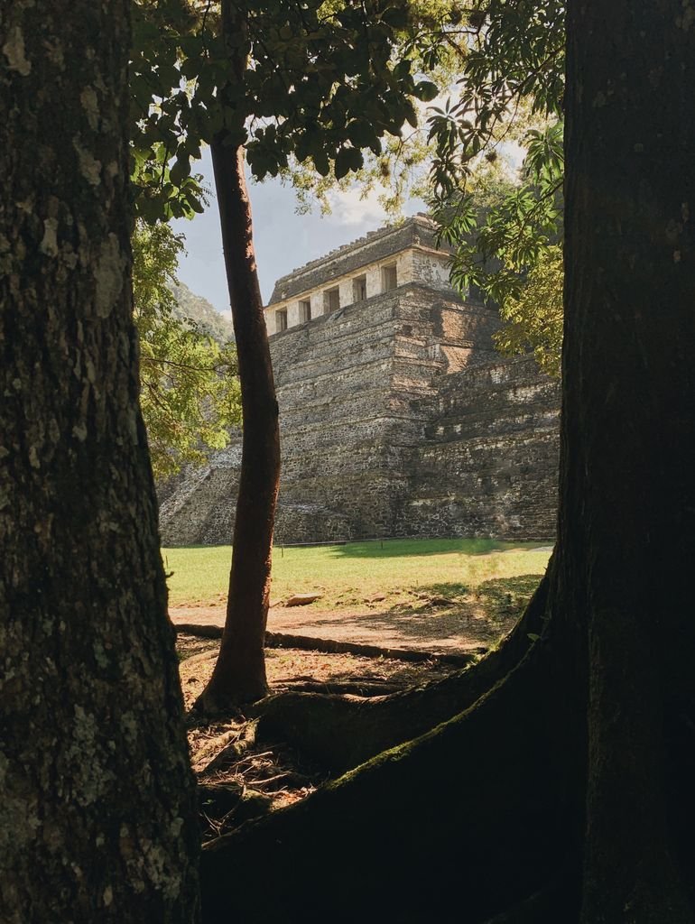 A stunning view of a Mayan temple framed by trees in Palenque, Mexico's jungle.