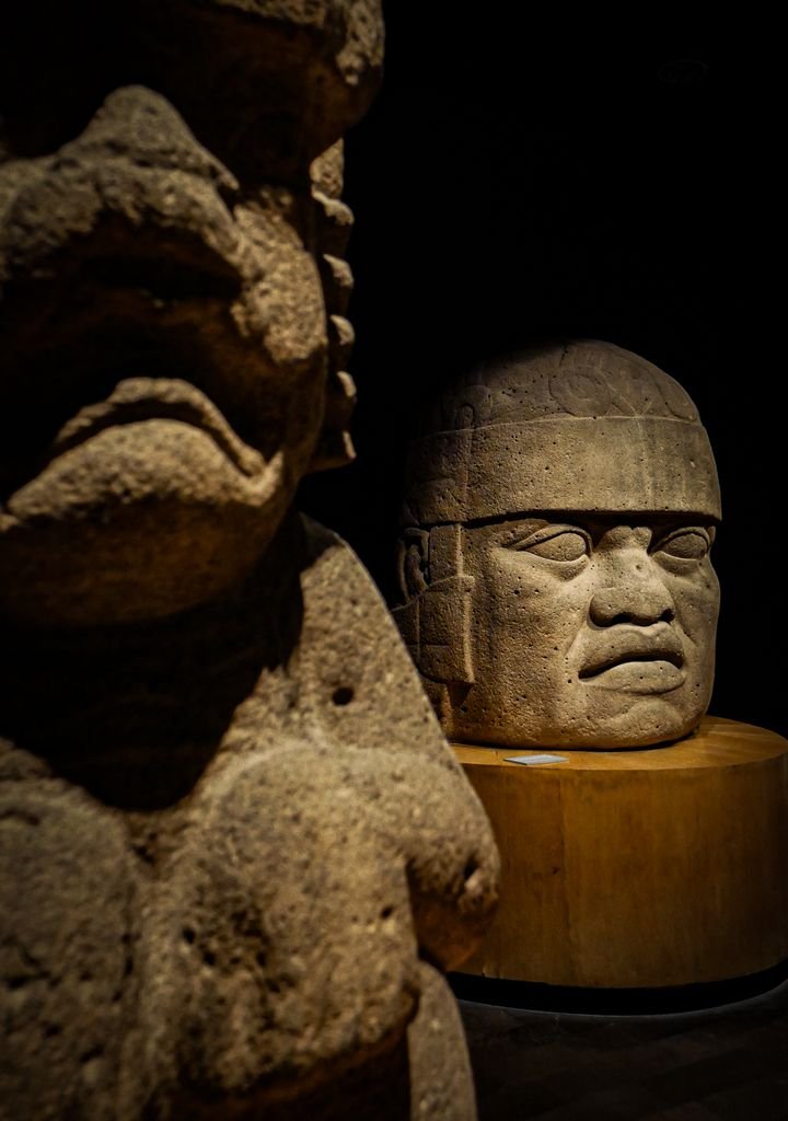 Close-up view of ancient Olmec colossal heads on display in a Mexican museum exhibit.