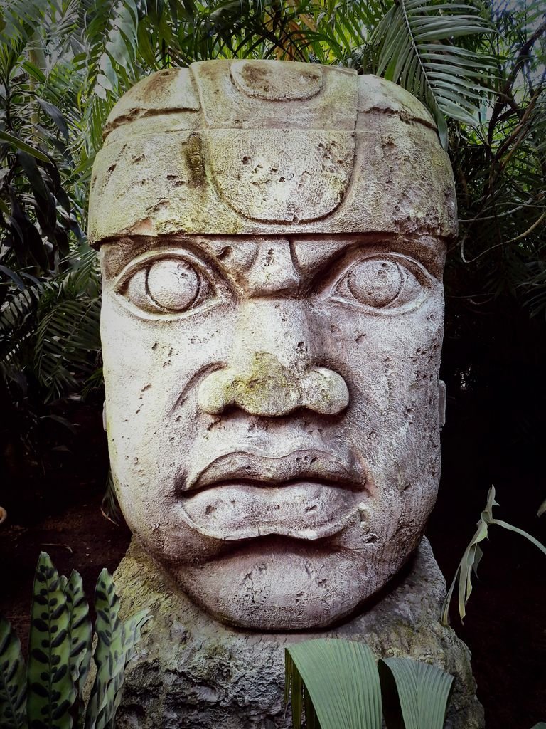 Discover the mysterious Olmec stone head amidst a vibrant jungle, showcasing ancient sculptural artistry.