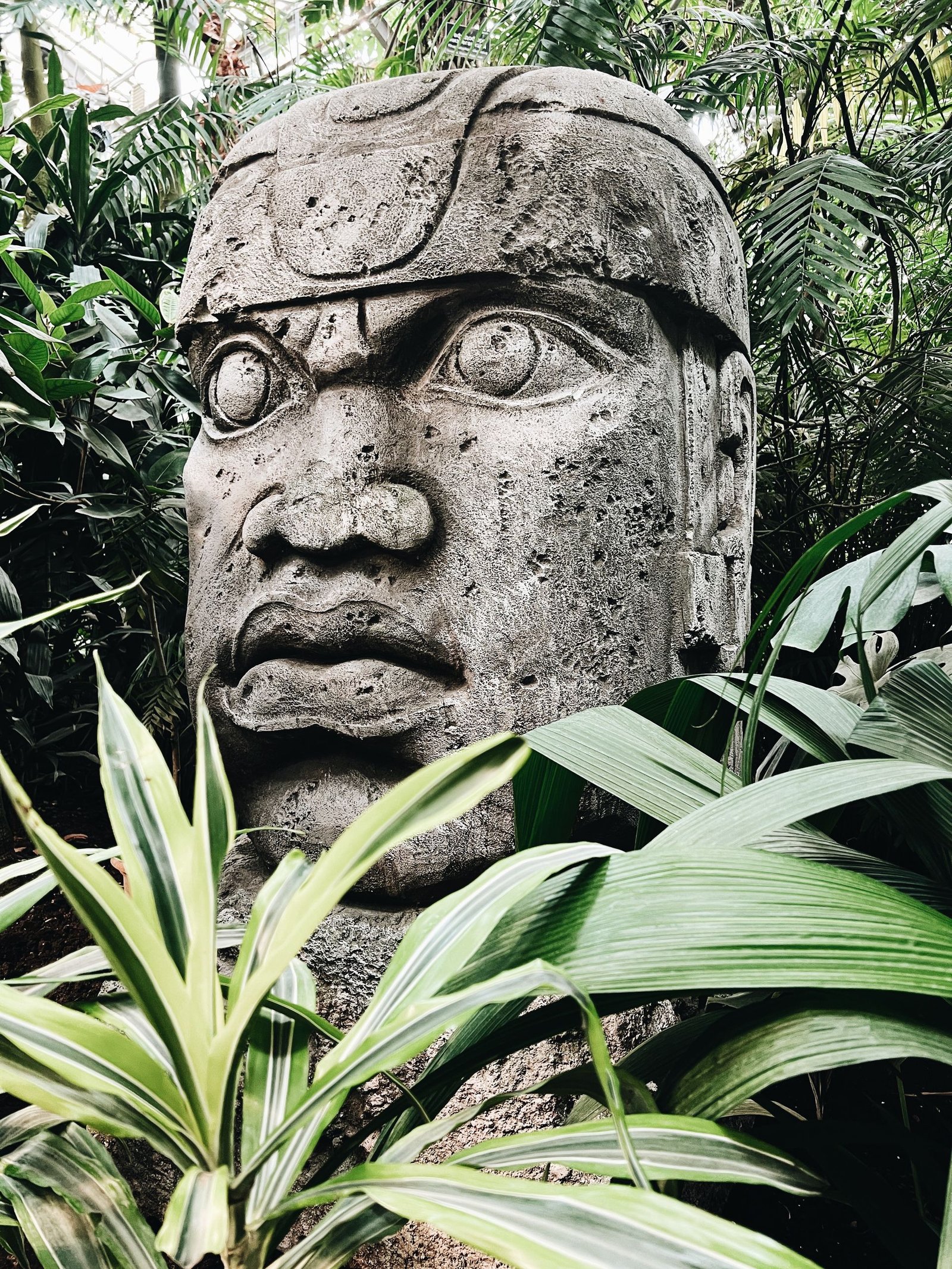 Majestic Olmec stone head statue surrounded by lush tropical plants.