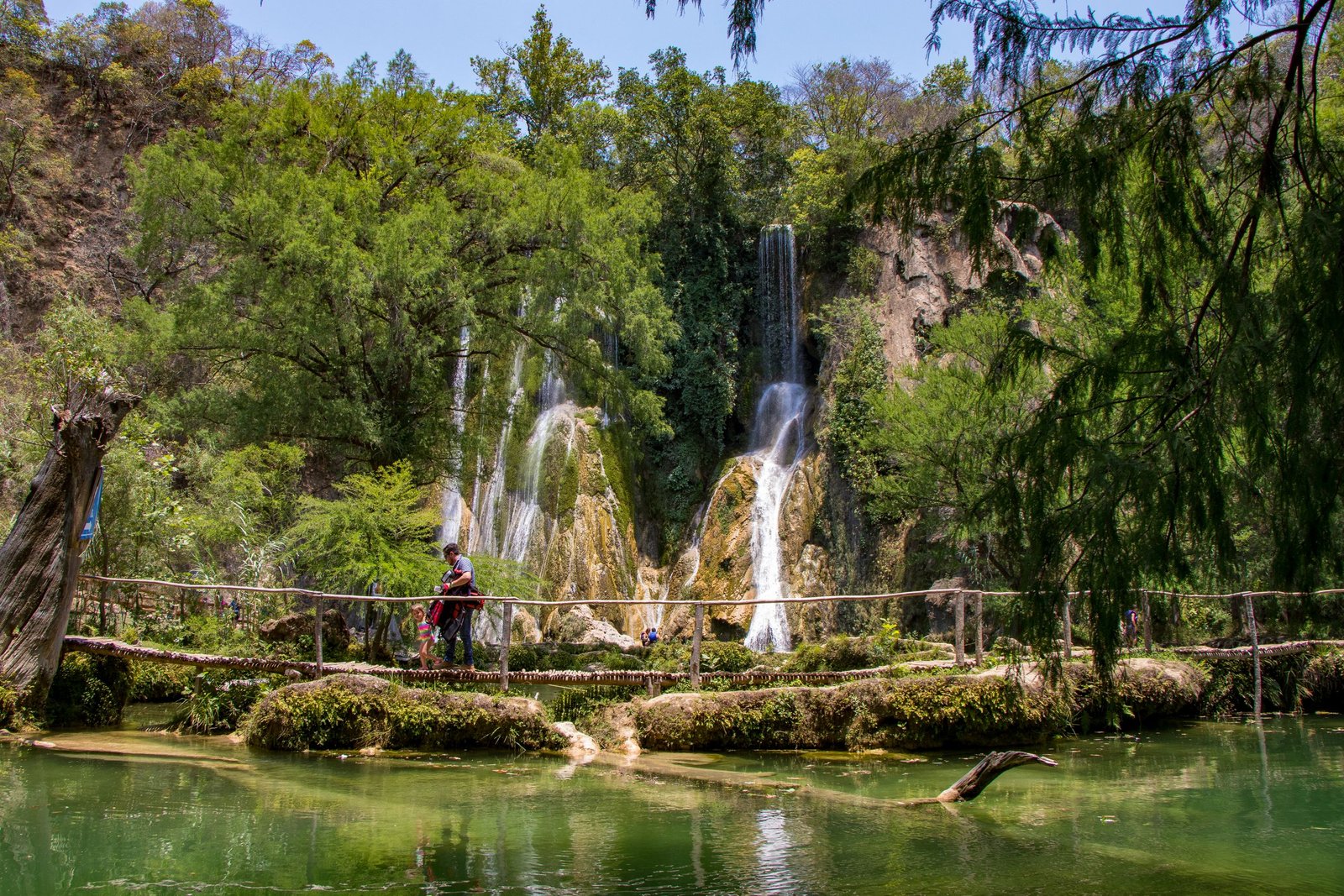 Scenic view of Minas Viejas waterfall in Mexico with lush greenery and a charming footbridge.