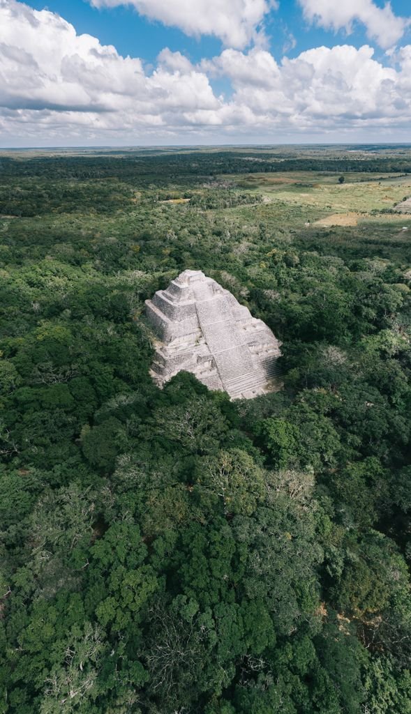 Stunning drone shot of ancient Calakmul archaeological site surrounded by lush green jungle.