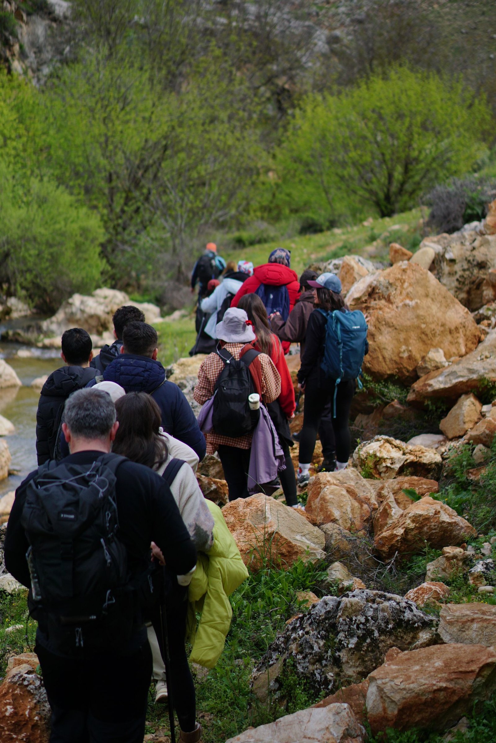 A diverse group of hikers traversing a rocky trail amidst lush greenery.